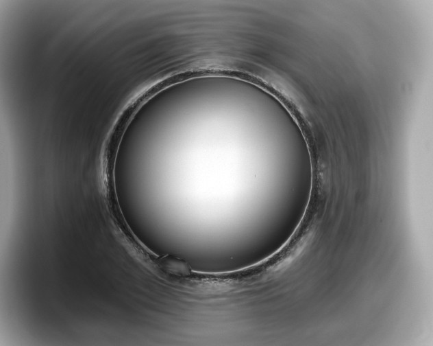 X0000098110981200804111052