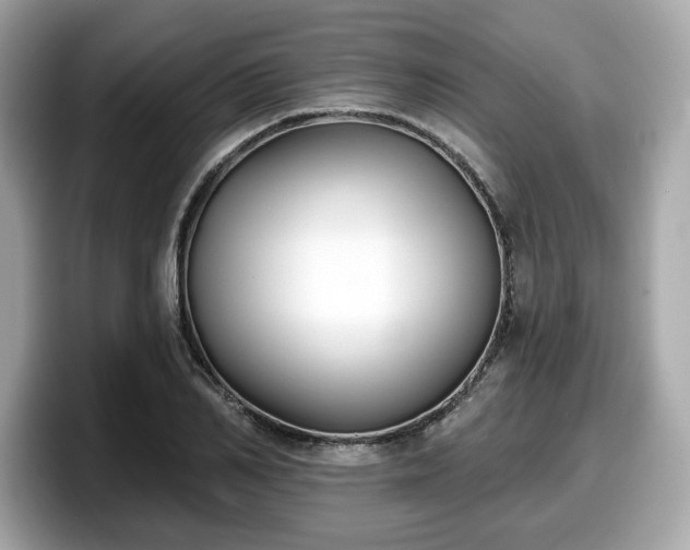 X0000098110982200804111052