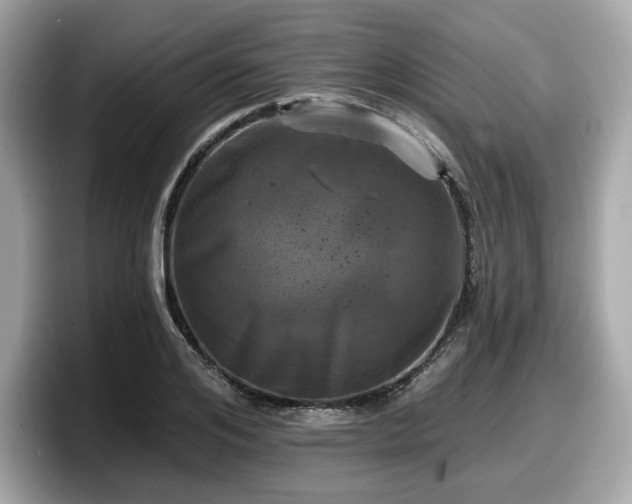 X0000098110984200804111052