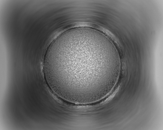X0000098110985200804111052