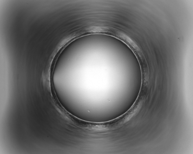 X0000098110986200804111052