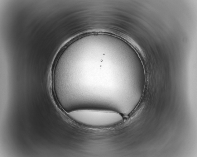 X0000098110988200804111052