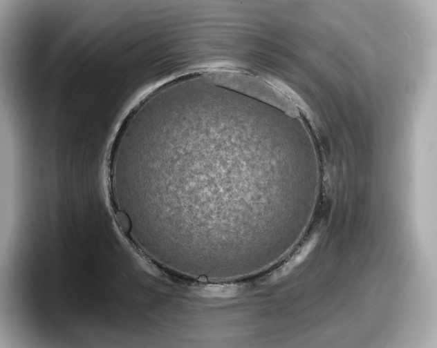 X0000098110989200804111051