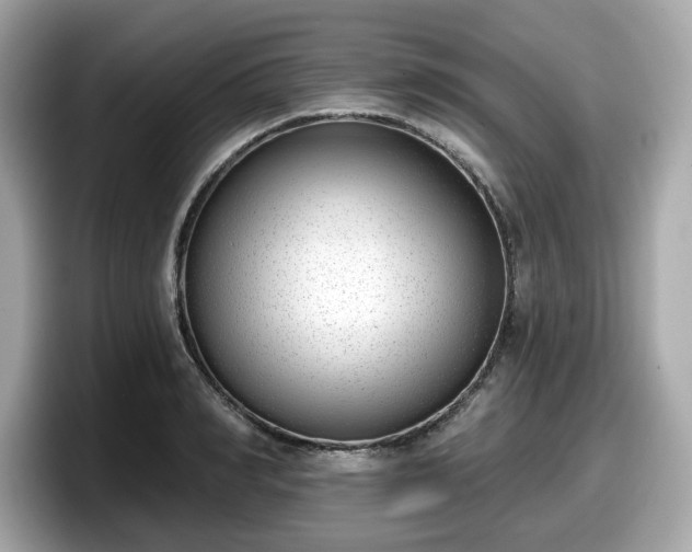 X0000098110990200804111051