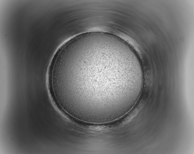 X0000098110991200804111051
