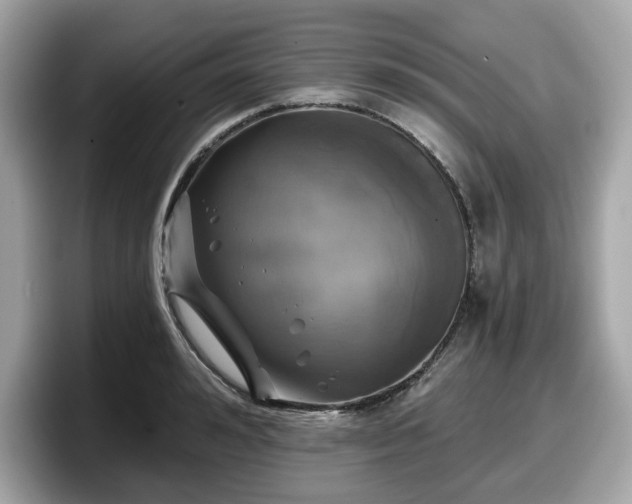 X0000098110992200804111051
