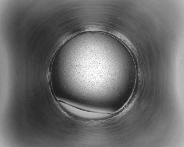 X0000098110993200804111051