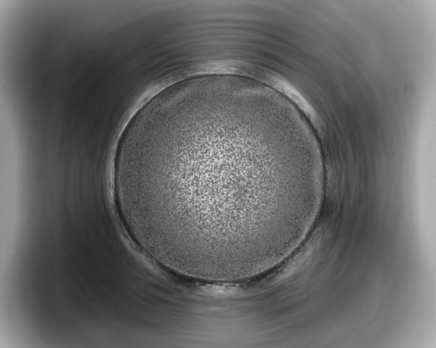 X0000098110994200804111051