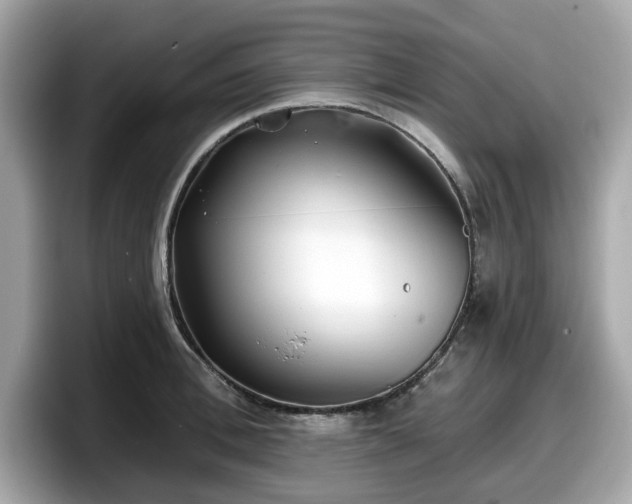 X0000098110996200804111051