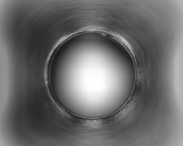 X0000098110997200804111051