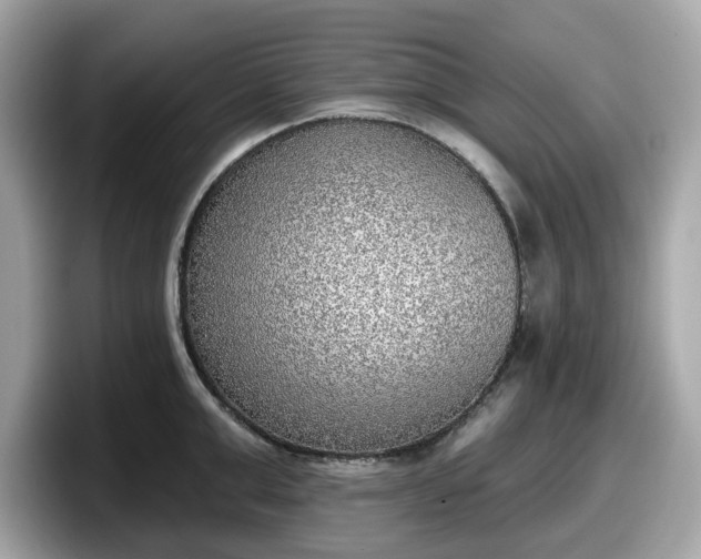 X0000098110999200804111051