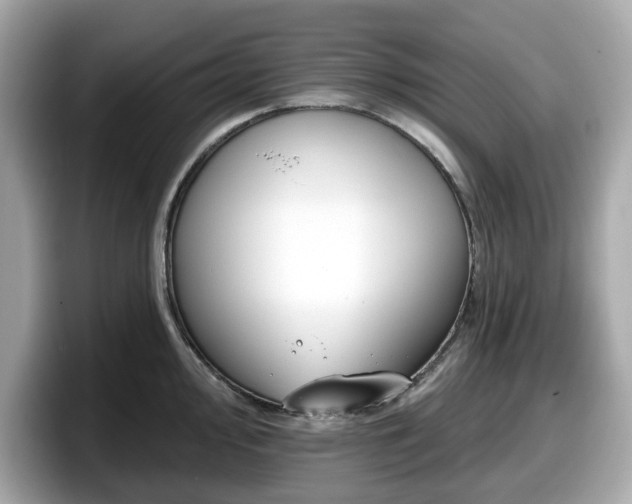 X0000098111000200804111051