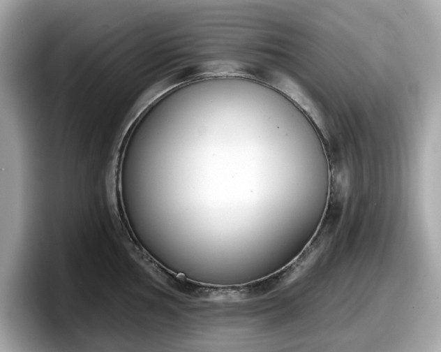 X0000098111002200804111051