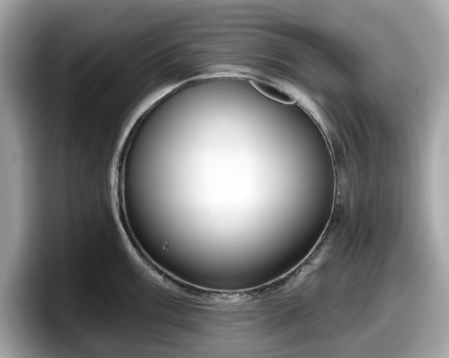 X0000098111003200804111051
