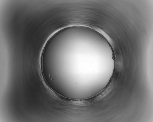 X0000098111004200804111051