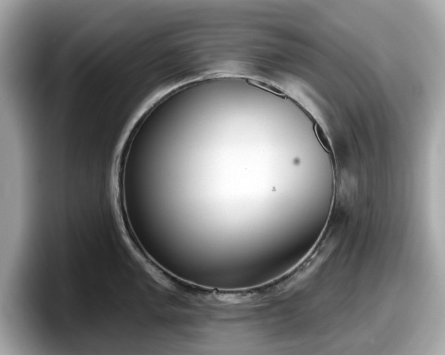 X0000098111005200804111051