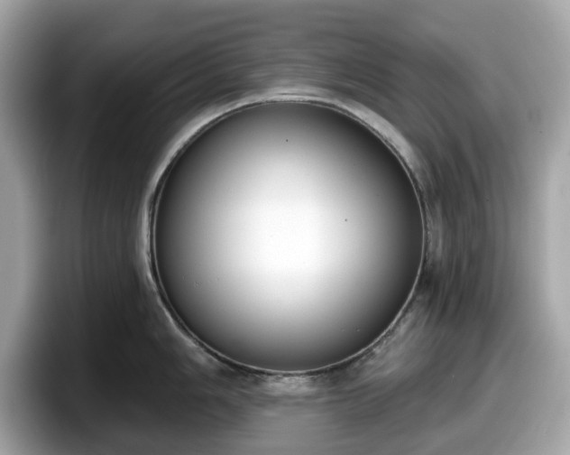 X0000098111006200804111051