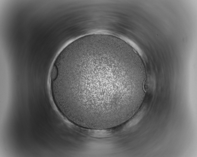 X0000098111007200804111051