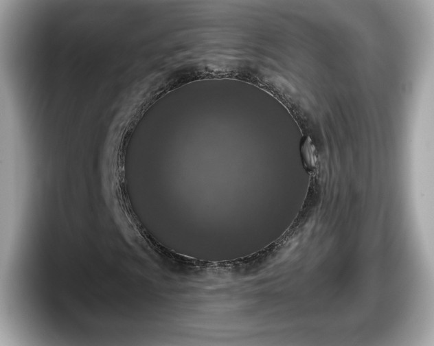 X0000098111009200804111051
