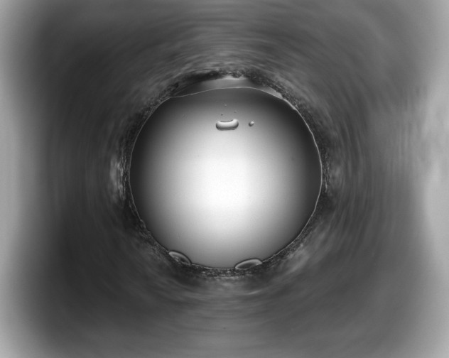 X0000098111010200804111051