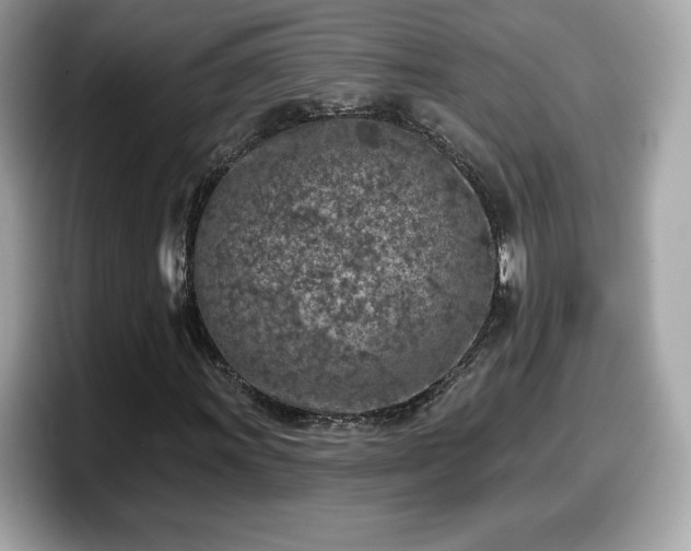X0000098111011200804111051