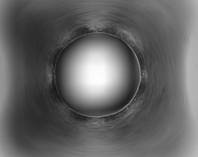 X0000098111012200804111051