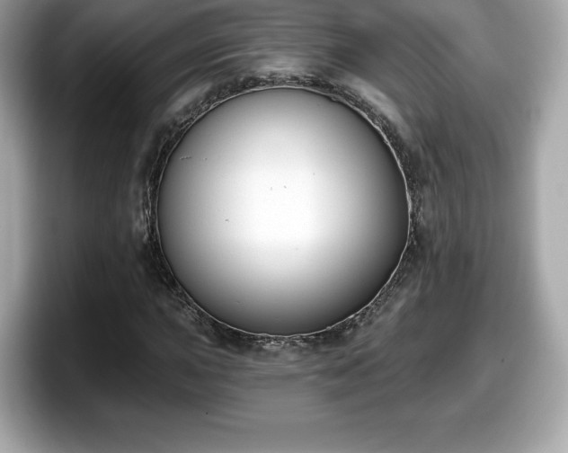 X0000098111015200804111051