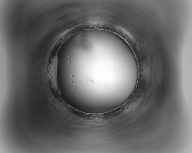 X0000098111016200804111051