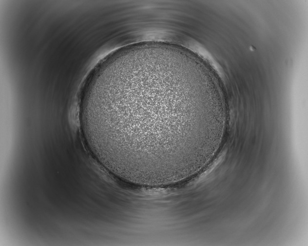 X0000098111019200804111051