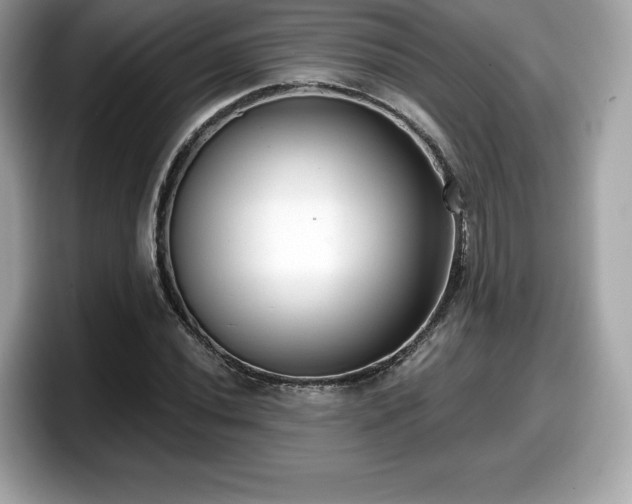 X0000098111020200804111051