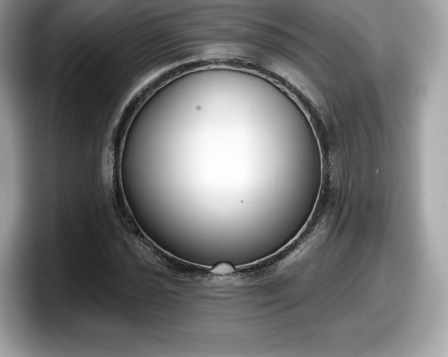 X0000098111021200804111051