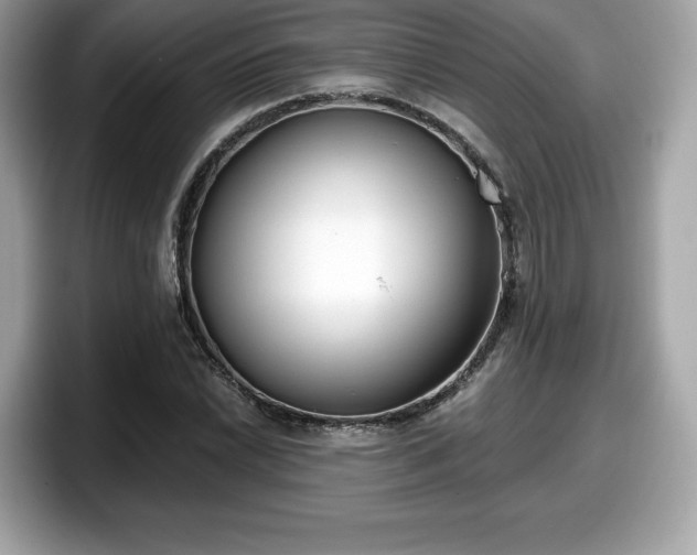 X0000098111022200804111051