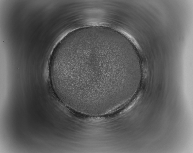 X0000098111023200804111051