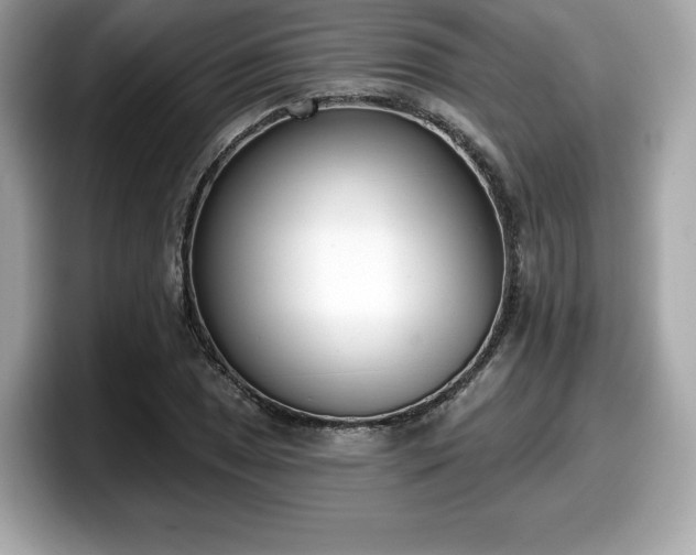 X0000098111025200804111051