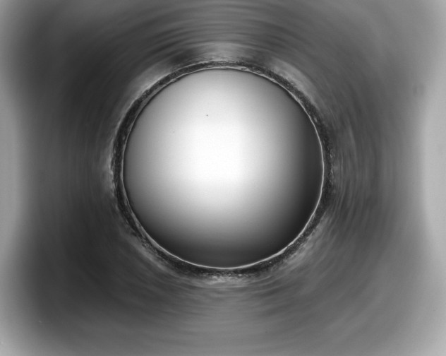 X0000098111026200804111051