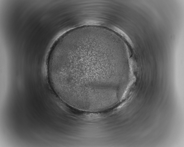 X0000098111027200804111051