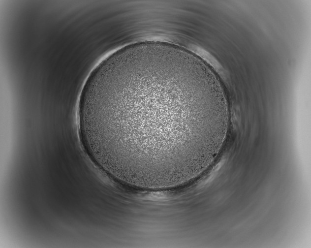 X0000098111028200804111051
