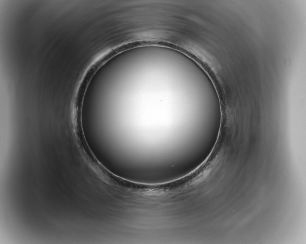 X0000098111029200804111051