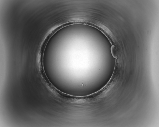 X0000098111030200804111051