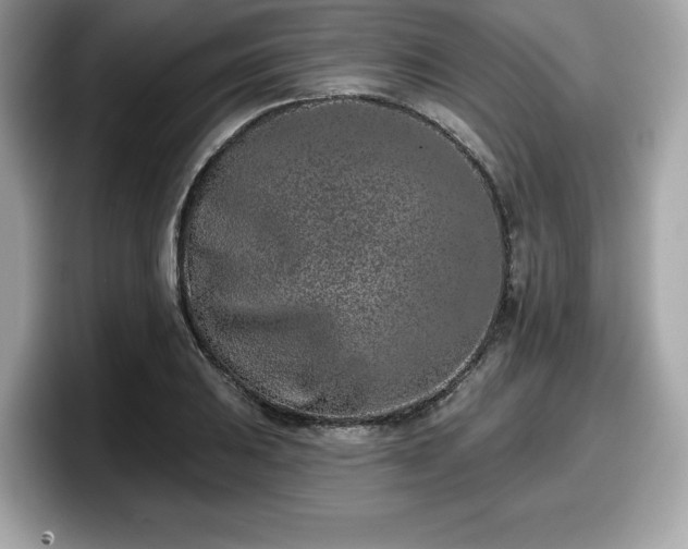 X0000098111031200804111051