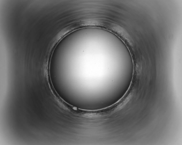 X0000098111033200804111051