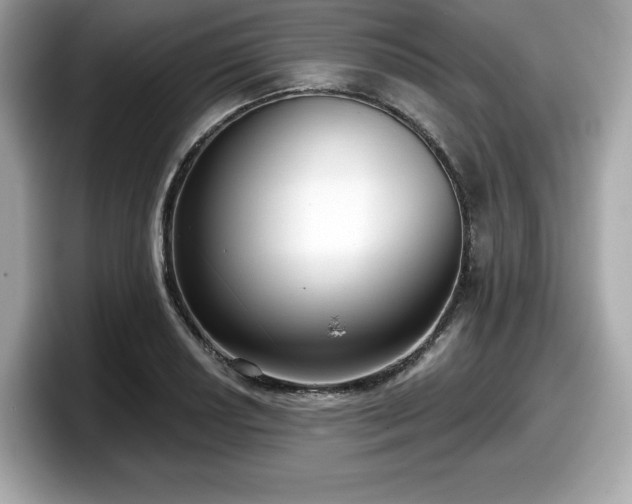 X0000098111034200804111051