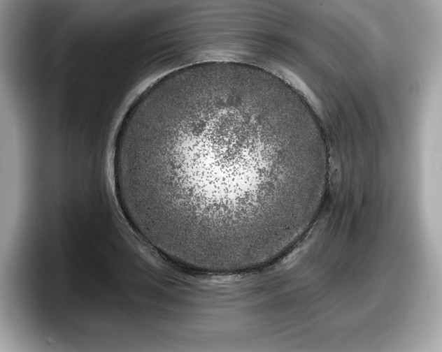 X0000098111035200804111051
