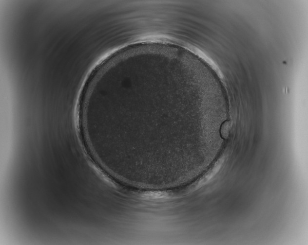 X0000098111037200804111051