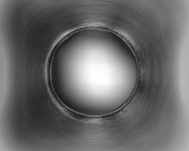 X0000098111038200804111051