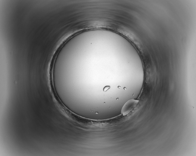 X0000098111039200804111051