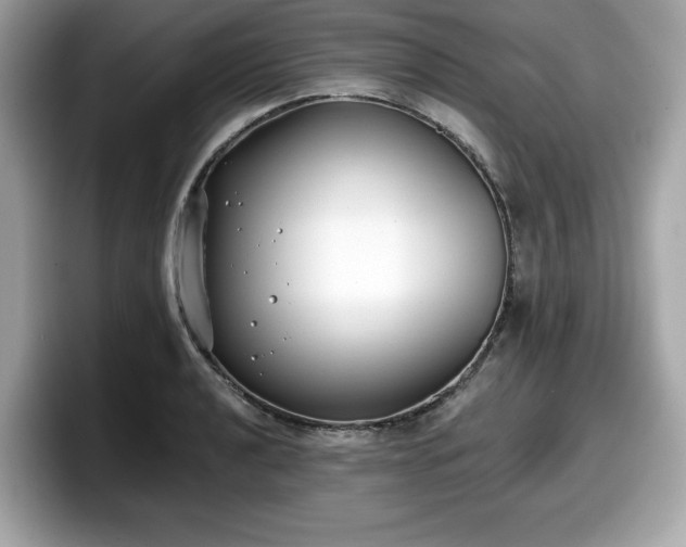 X0000098111040200804111051