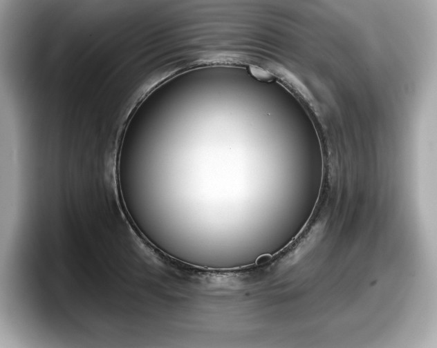 X0000098111041200804111051