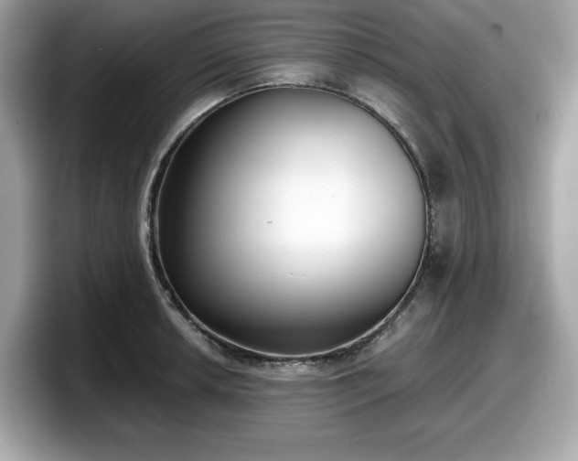 X0000098111042200804111051