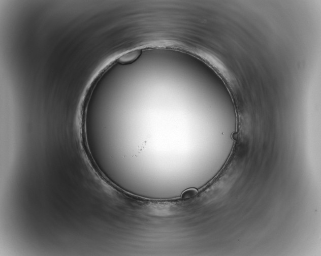 X0000098111046200804111051